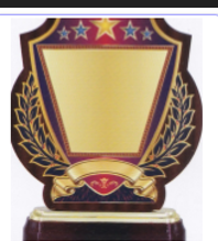 KB207 premium trophy with metal shield and wooden base, customized for VSSUT convocation